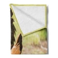 thumbnail image 2 of Hen and Chicks Soft Flannel Fleece Throw Blanket, Farm Life Animal Themed Photo of Chicken Family on Blurred Background, Cozy Plush for Indoor and Outdoor Use, 50" x 60", Multicolor, by Ambesonne, 2 of 5