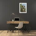 thumbnail image 3 of Illg, Cathy and Gordon 13x18 White Modern Wood Framed Museum Art Print Titled - FL, Green Cay, Three anhinga chicks at nest, 3 of 4
