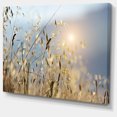 thumbnail image 2 of Typical Tuscany Sunset Italy - Landscape Canvas Art Print, 2 of 4
