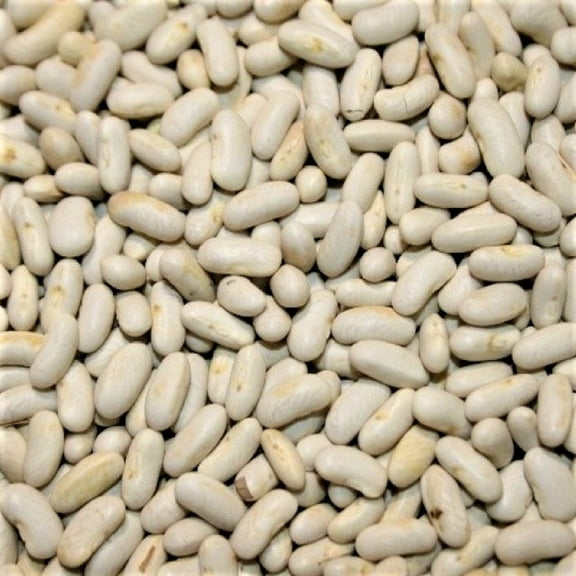 Blue Lake Bush Bean Seeds - 100 Count Seed Pack - A Tasty, Heirloom Bean That Produces Huge yields - Country Creek LLC