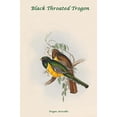 thumbnail image 1 of Trogon Atricollis - Black Throated Trogon-Fine Art Canvas Print (20" x 30"), 1 of 1