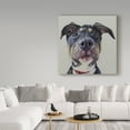 thumbnail image 3 of Trademark Fine Art 'Hank' Canvas Art by James Ruby, 3 of 3