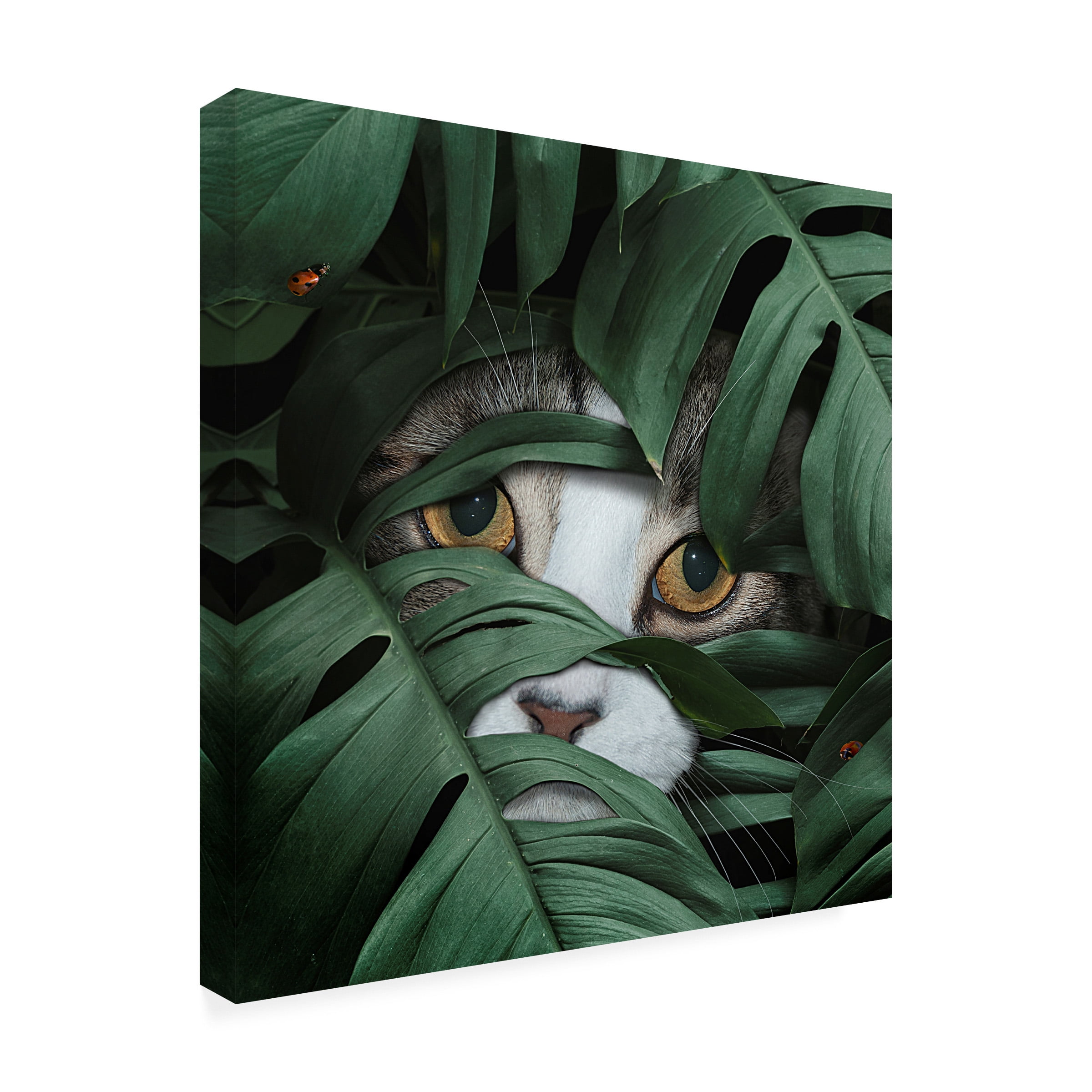 Lori Hutchison 'Sneaky Cat' Canvas Art