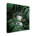 thumbnail image 2 of Lori Hutchison 'Sneaky Cat' Canvas Art, 2 of 3