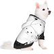 thumbnail image 2 of Fotbe Doodle Cute Cat Sudadera con Estampado para Perros Pequeños – Suéter con Capucha para Mascotas, Tela Suave de Forro Polar con Bolsillo-X-Small, 2 of 7