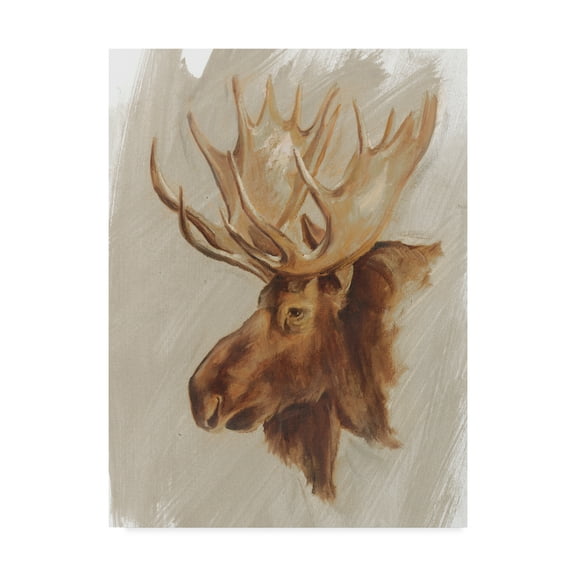 Trademark Fine Art 'Western American Animal Study II' Canvas Art by Ethan Harper