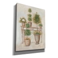 thumbnail image 2 of Epic Graffiti 'Potting Bench & Topiaries II' by Pam Britton, Canvas Wall Art, 26"x34", 2 of 2