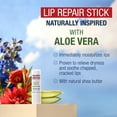 thumbnail image 2 of Bálsamo labial Aquaphor Naturally Inspired Lip Repair Stick x3, 2 of 9