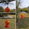 thumbnail image 4 of Glass Squirrel Baffle for Bird Feeders Pole - Shepherd Hooks/Post Hanging - Clear 13Inch Weather, 4 of 8