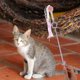 thumbnail image 4 of KAKOWELY palitos de juguete interactivos para gatos, ideal para amantes de los gatos., 4 of 5