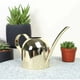 thumbnail image 5 of Golden Touch: regadera de acero inoxidable resistente a los arañazos para plantas de interior, agarre ergonómico que garantiza una experiencia de jardinería sin esfuerzo, 5 of 5
