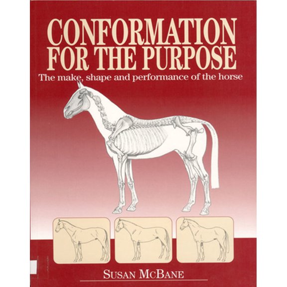 Pre-Owned Conformation for the Purpose (Hardcover) 1840372877 9781840372878