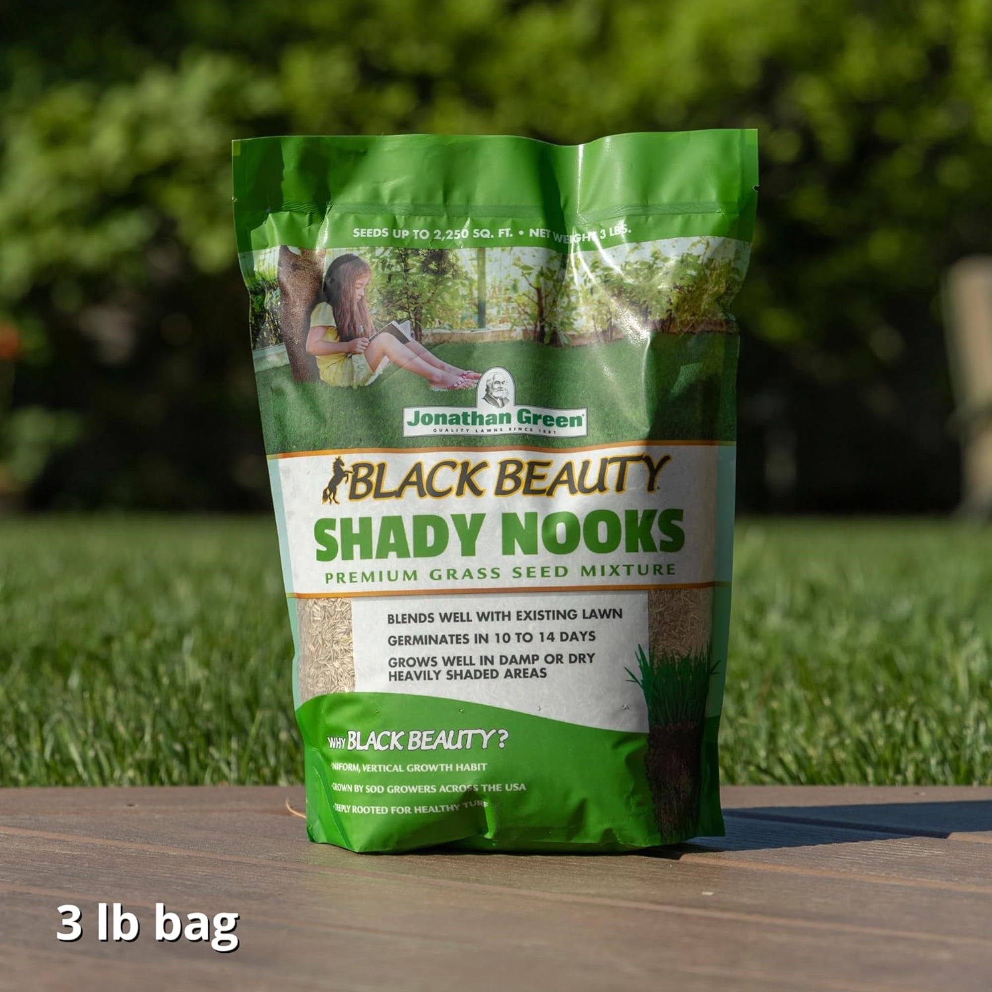 Black Beauty 3lb Shady Grass Seed 11957