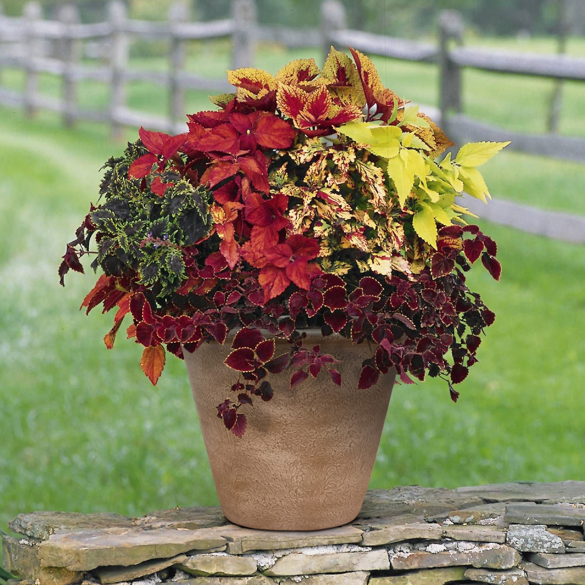 Better Homes&gardens 10 inch Hand-painted Brown Ceramic Pot - image 2 of 9