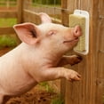 thumbnail image 6 of Pet Supplies Enrichment Solution for Pigs 2 In 1 Self Grooming and Scratch Brush to Encourage Natural Behavior Reduce Stress Easy Install for Pens Barns or Yards, 6 of 6