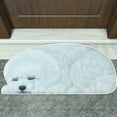 thumbnail image 5 of Kezqiaxn Doormat Outdoor Mat Cute Pet Dog Themed Carpet, Welcome Doormat Non Slip Floor Mat Summer Holiday Funny Novelty Door Mats Indoor Outdoor Decor Multicolor, 5 of 7