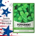 thumbnail image 6 of Peppermint Seeds, 6 of 7