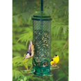thumbnail image 2 of Squirrel Buster Mini Squirrel Proof Bird Feeder, 2 of 4