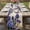 Purple Indigo Beige, variant on Table Runner 48 Inches Long for Kitchen Dining, Spring Floral Dresser Scarf Farmhouse, Dining Table Decorations for Wedding/Parties, Purple Tulips Hydrangeas Butterflies Flowers 13 x 48 In