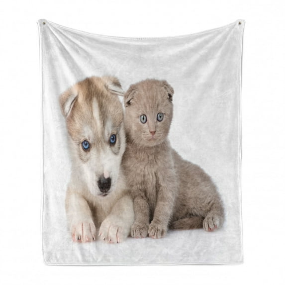 Dog and Cat Soft Flannel Fleece Throw Blanket, Scottish Kitten Siberian Puppy, Cozy Plush for Indoor and Outdoor Use, 50" x 70", White Warm Taupe, by Ambesonne