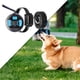 thumbnail image 4 of Collar de entrenamiento para perros Cuatro modos de entrenamiento, Collar de llanto eléctrico de 656 pies, Collar eléctrico remoto Perros pequeños, 2 Receptor Gloria Collar de entrenamiento, 4 of 8