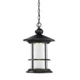 thumbnail image 1 of Outdoor LED Chain Hung Light 552CHB-BK-LED, 1 of 2