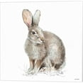 thumbnail image 3 of Great Art Now Forest Friends by Lisa Audit 2 Piece Canvas Art Set Each 14"W x 14"H, 3 of 3