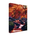 thumbnail image 2 of Trademark Fine Art 'Fire Fall' Canvas Art by David Lloyd Glover, 2 of 4