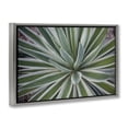 thumbnail image 4 of Stupell Industries Centric Succulent Leaves Botanical & Floral Photography Gray Floater Framed Canvas Art Print Wall Art, 25 x 17, 4 of 10