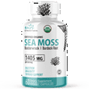 Nutri Sea Moss with Bladderwrack, Burdock & Black Pepper, 60 count – Organic