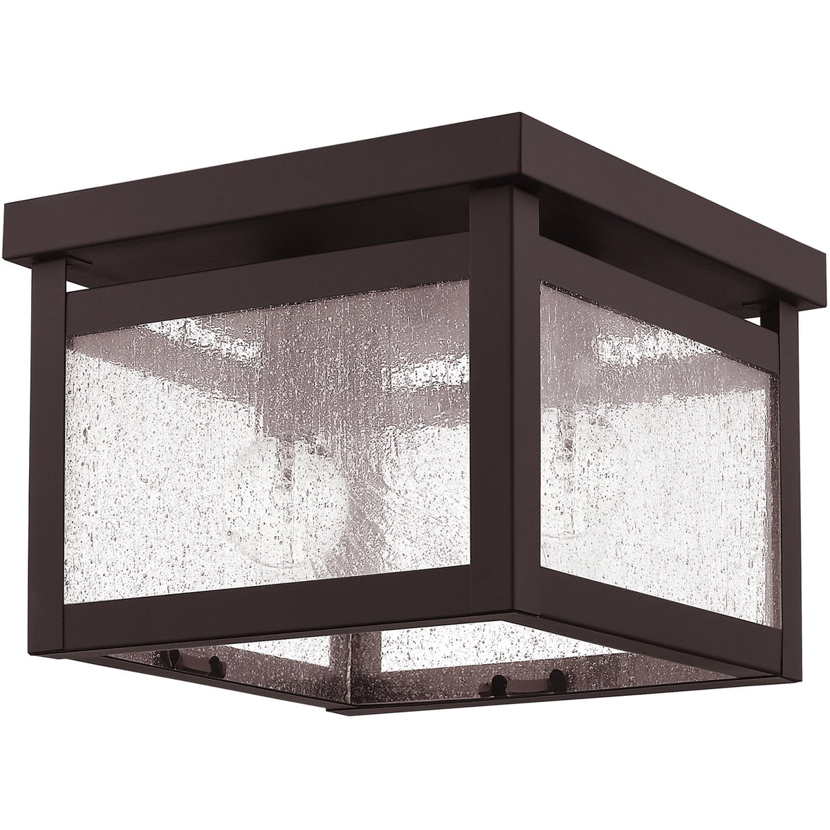 8 inch 2 Light Bronze Ceiling Light fixture with Clear Seeded Glass Shade