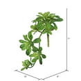 thumbnail image 2 of Vickerman 11" Artificial Green Aeonium Spray. Includes 3 sprays per pack., 2 of 4