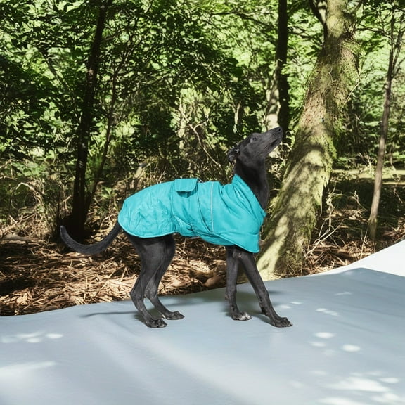 Demi Bonn Reversible Water Repellent Dog Jacket Pets Apparel Winter Warm Outdoor Sport Dog Coats for Winter Cold Weather Puppy Comfort Vest, Green S