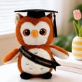 thumbnail image 4 of Graduation gifts, Custom Graduation Plush Owl, Personalized 2026 Graduation Owl Stuffed Animal for Kids Students, Cute Pre K Kindergarten High School College Graduation Gifts(Blue), 4 of 8