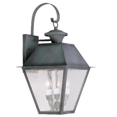2 Light Outdoor Wall Lantern in Coastal Style 12 inches Wide By 23.5 inches High-Charcoal Finish Bailey Street Home 218-Bel-1119427