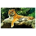 thumbnail image 4 of Tiger Ceramic Toothbrush Holder, Resting Feline in the Forest on a Large Rock Sublime Carnivore Beast Nature, Decorative Versatile Countertop for Bathroom, 4.5" X 2.7", Multicolor, 4 of 4