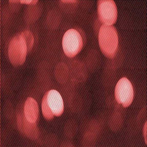 Ahgly Company Indoor Square Patterned DarkRed Area Rugs, 7' Square