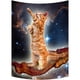 thumbnail image 1 of Tapiz colgante de pared ABPHQTO Divertido tocino gato en el espacio tamaño 130x150 cm, 1 of 1