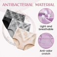 thumbnail image 3 of Everdries Leakproof Underwear For Women Incontinence Leak Proof Protective Pants, 3 of 4