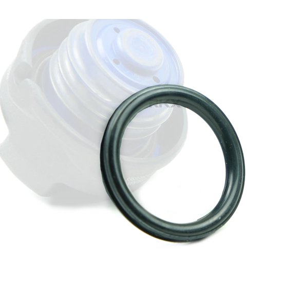 Gas Cap Seal