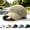 Khaki, variant on Sunscreen Breathable Baseball Cap – Quick-Dry Running Hat with Airflow Holes, Curved Brim & Adjustable Fit for Golf Travel Daily Wear