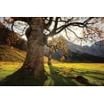 thumbnail image 2 of Podt, Martin 18x13 White Modern Wood Framed Museum Art Print Titled - The Star, 2 of 4