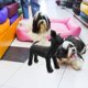 thumbnail image 3 of Maniquí de exhibición de ropa para perros de cuero sintético, maniquí de exhibición de disfraces para perros (S), 3 of 6