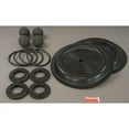 thumbnail image 2 of Dayton Pump Repair Kit,Fluid,1 In.,For 3HJX1 22A614, 2 of 2
