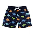 thumbnail image 4 of Hudson Baby Boys Swim Rashguard Set, Rawr, 2T, 4 of 4