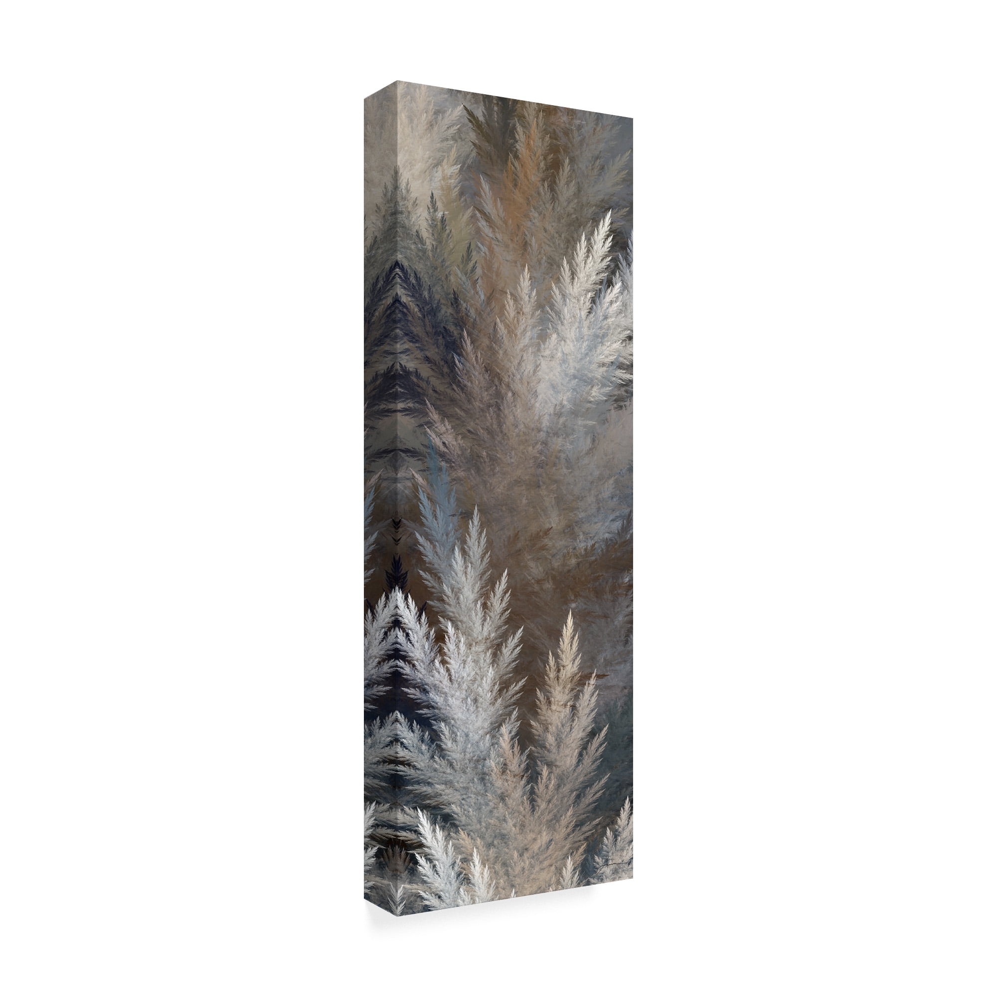 Trademark Fine Art '2-Up Pampas Panels I' Canvas Art by James Burghardt