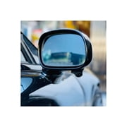 Rydeen CM-D700 Dual Side View Blindspot Cameras
