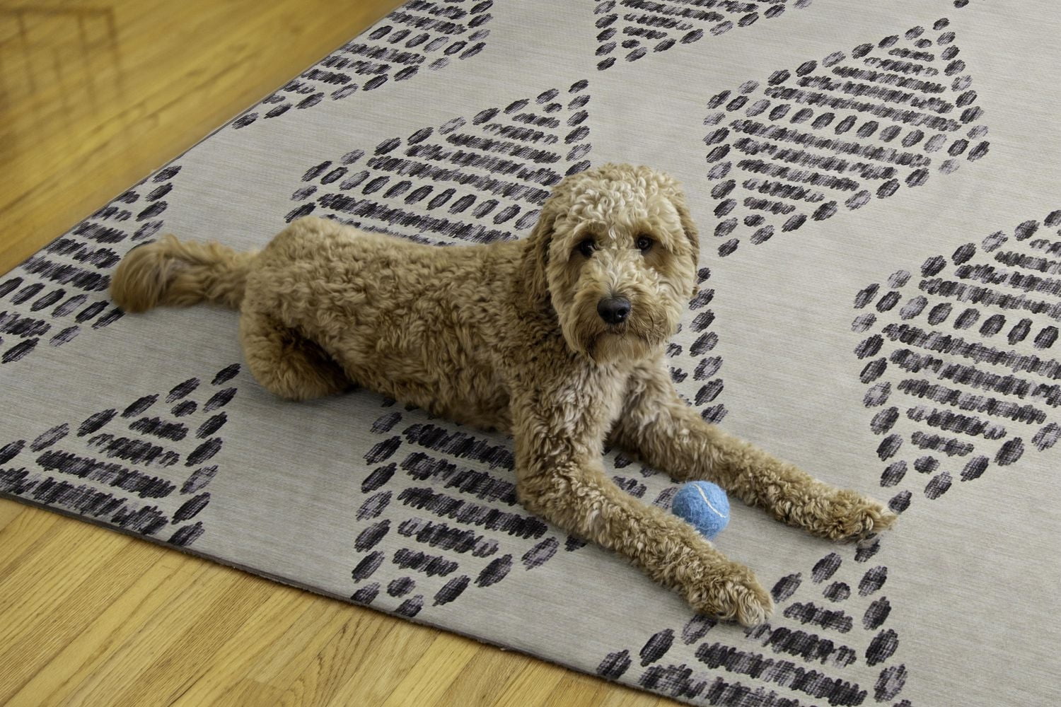 Outdoor Washable Navarre Ivory & Brown 7' x 9' Area Rug