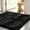 Black, variant on Ultra Absorbent Chenille Entrance Door Rug, Non Slip Grippy Pet Rug for Muddy Dog Paws, Machine Washable Quick Dry Soakstopper Doormat, Dirt Trapping Entryway Carpet for Indoor Outdoor Use