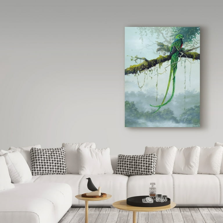 DMC Quetzal ケツァール Revival Series Trademark Fine Art Resplendent Quetzal Canvas Art - 24x32